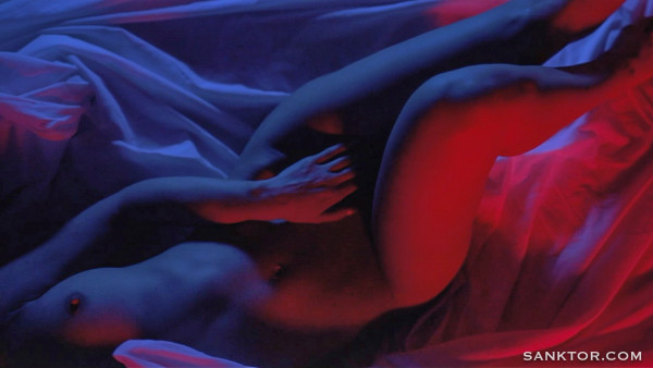 playboy video
